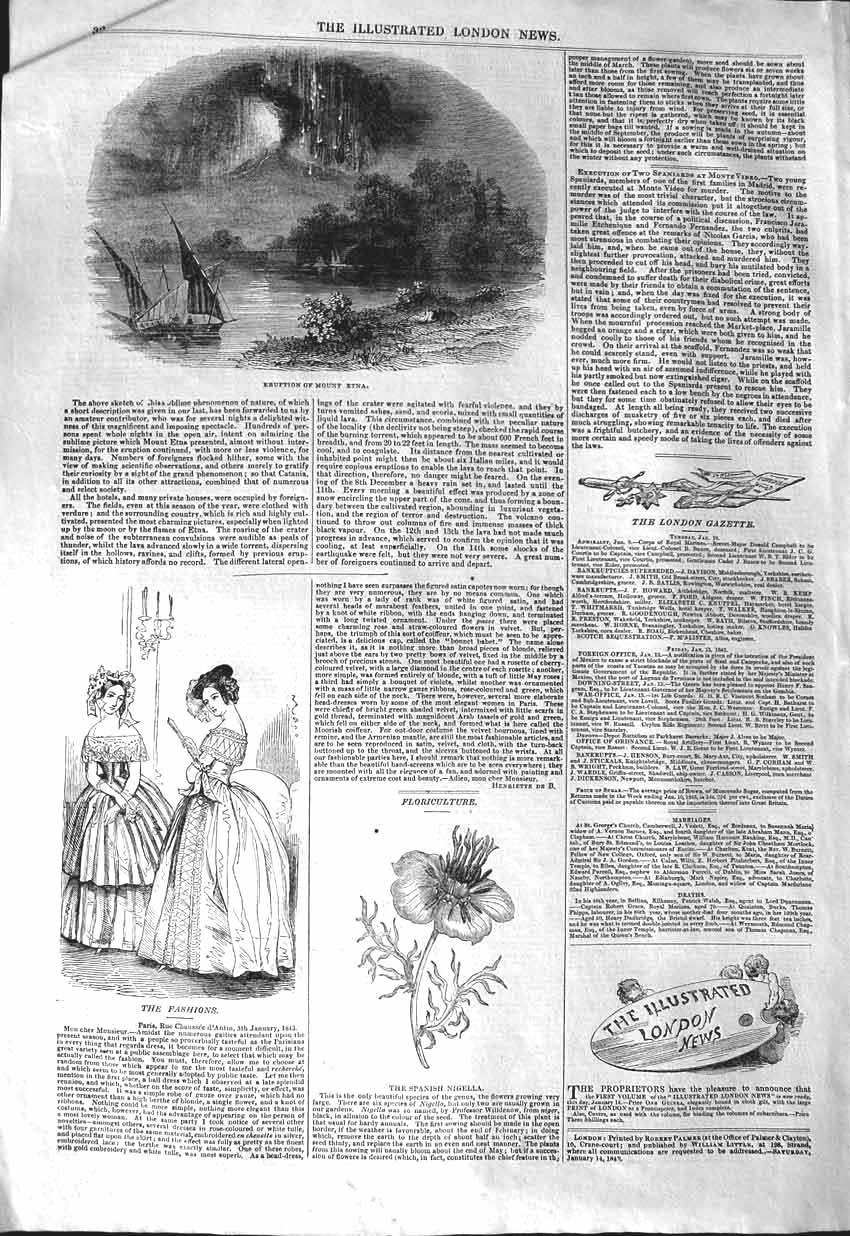 Old Antique Print 1843 Eruption Mount Etna Volcano Spanish Nigella Plant 19th