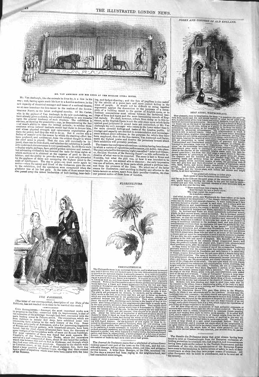 Original Old Antique Print 1843 Van Amburgh Lion Opera House Abbey Westm 19th