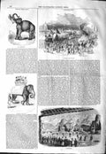 Old Antique Print 1843 Fair River Thames Elephant English Opera Glaciarum 19th