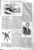 Original Old Antique Print 1843 Hare Coursing Lord Brougham Loelia Anceps 19th