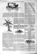 Original Old Antique Print 1843 Wedding Carriage Emperor Brazils Plantain Plant