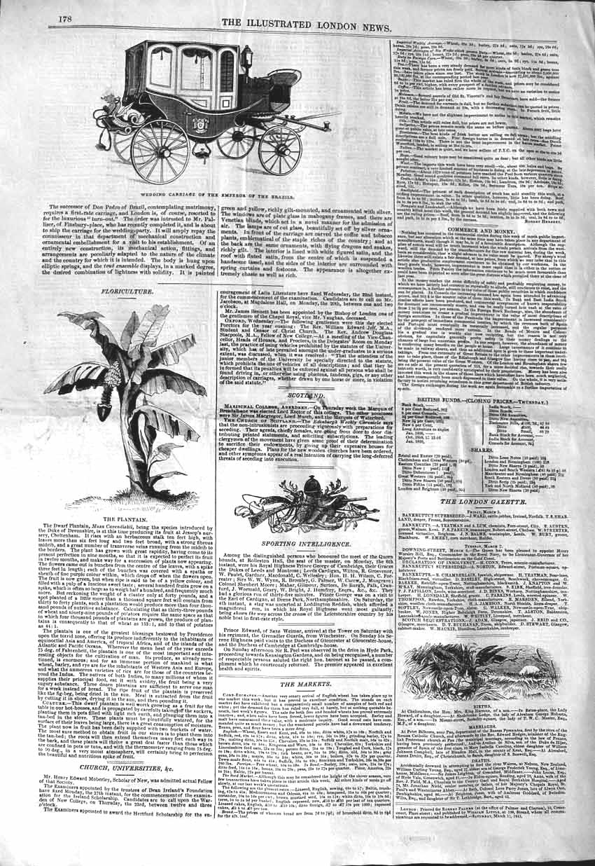 Original Old Antique Print 1843 Wedding Carriage Emperor Brazils Plantain Plant
