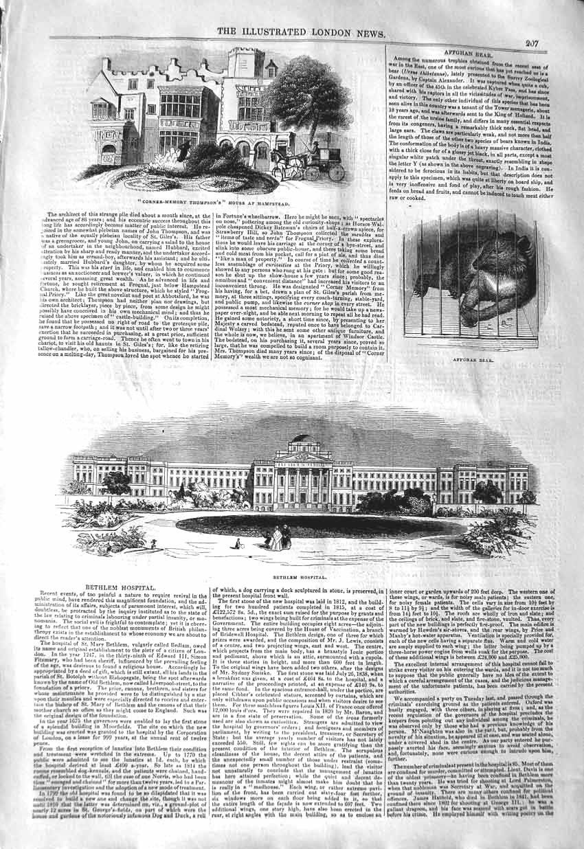 Original Old Antique Print 1843 Bethlem Hospital Affghan Bear Thompson Ha 19th