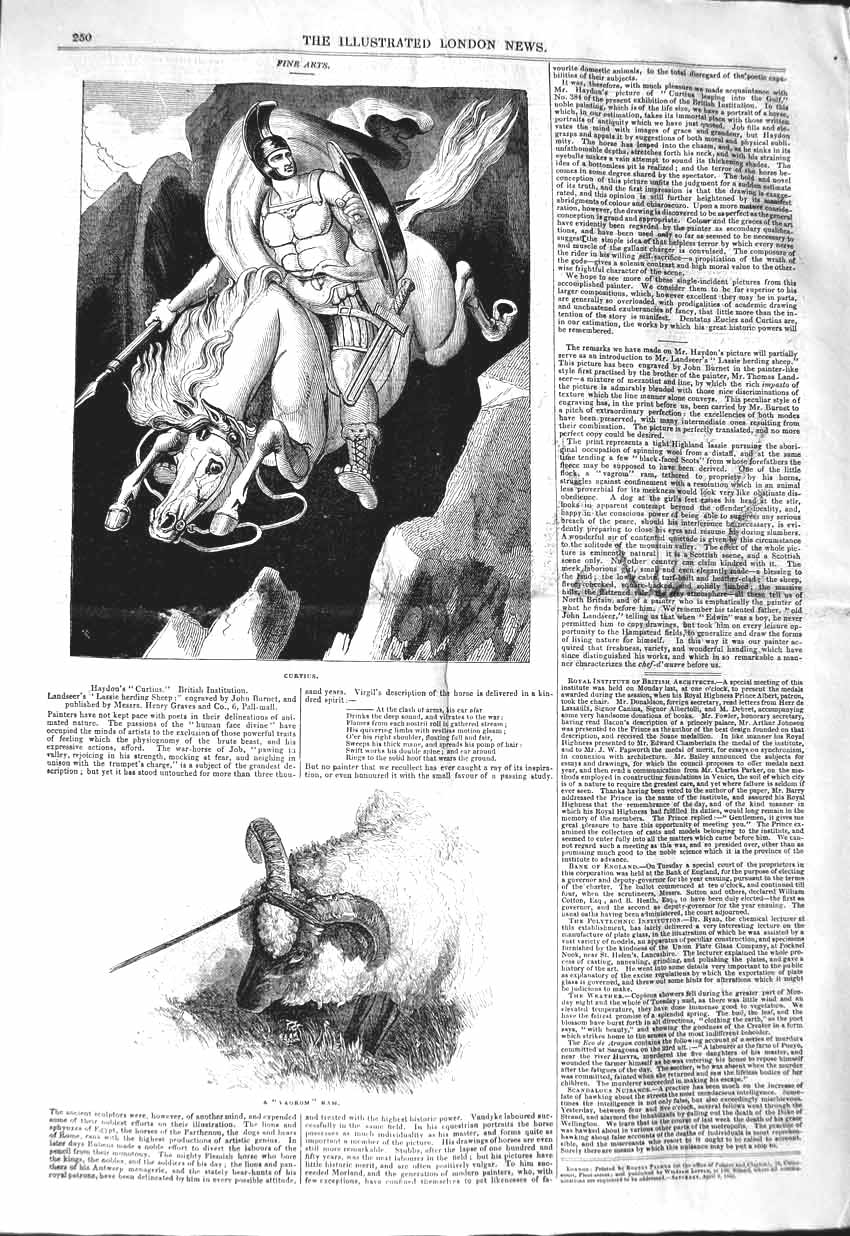 Original Old Antique Print 1843 Vagrom Ram Sheep Animal Curtius Man Horse 19th