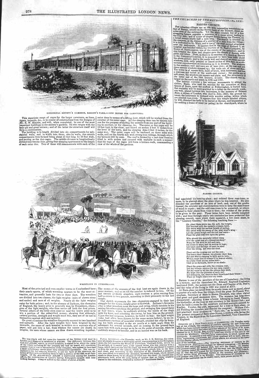 Original Old Antique Print 1843 Zoological Gardens Carnivora Wrestling Church
