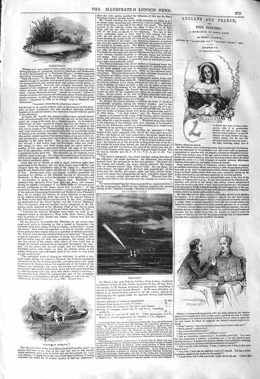 Original Old Antique Print 1843 Whitebait Fish Fishing Boat Comet Astronomy