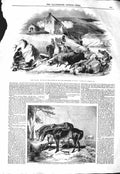 Original Old Antique Print 1843 Raid Reiver Laird Farm Horses William Wigram