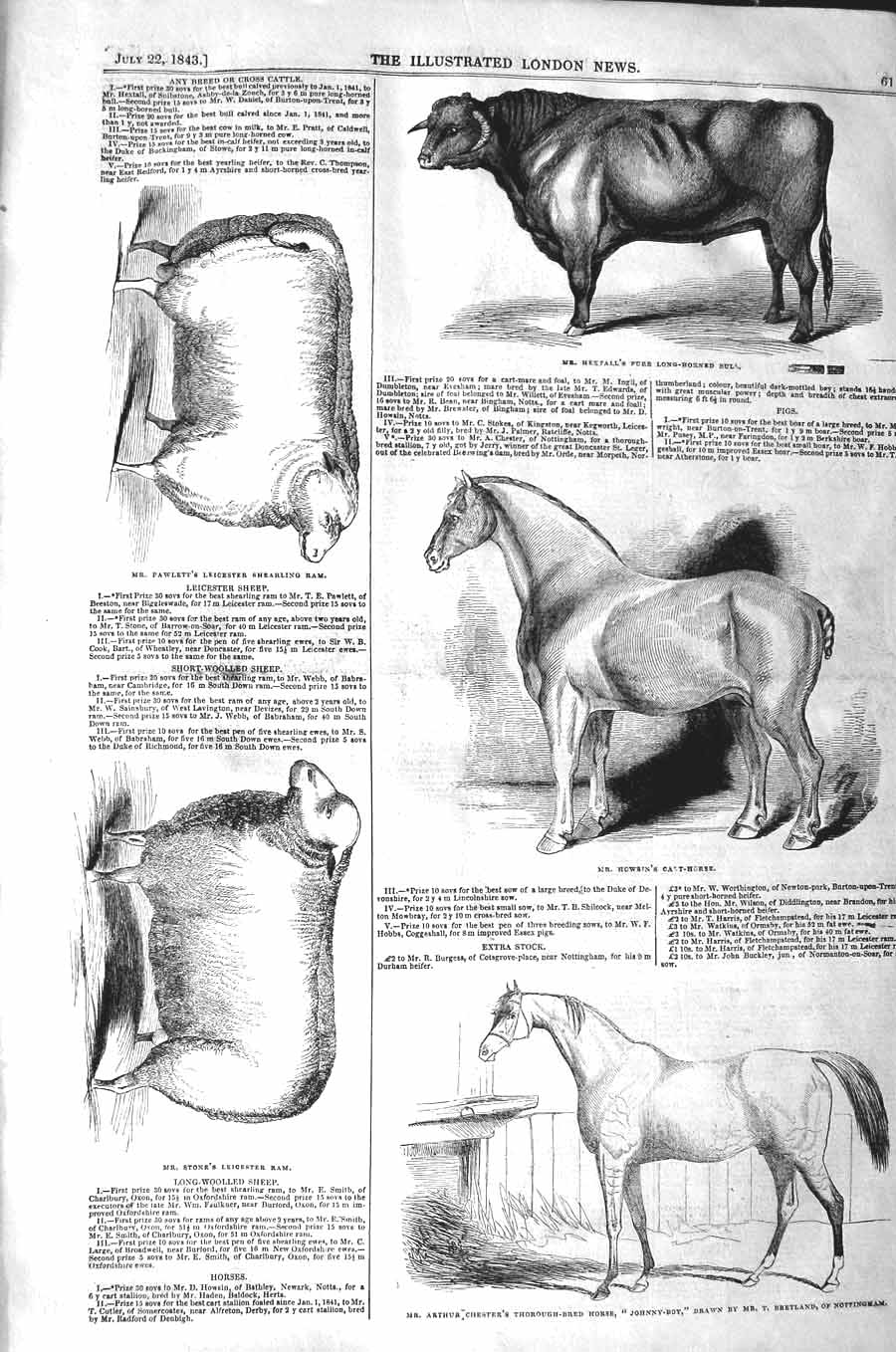 Old Antique Print 1843 Horse Johnny Stone Ram Pawlett Bull Heifer Animals 19th