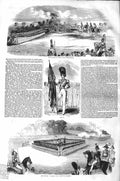 Original Old Antique Print 1843 Review Hyde Park Charge Siers Ensig Victorian