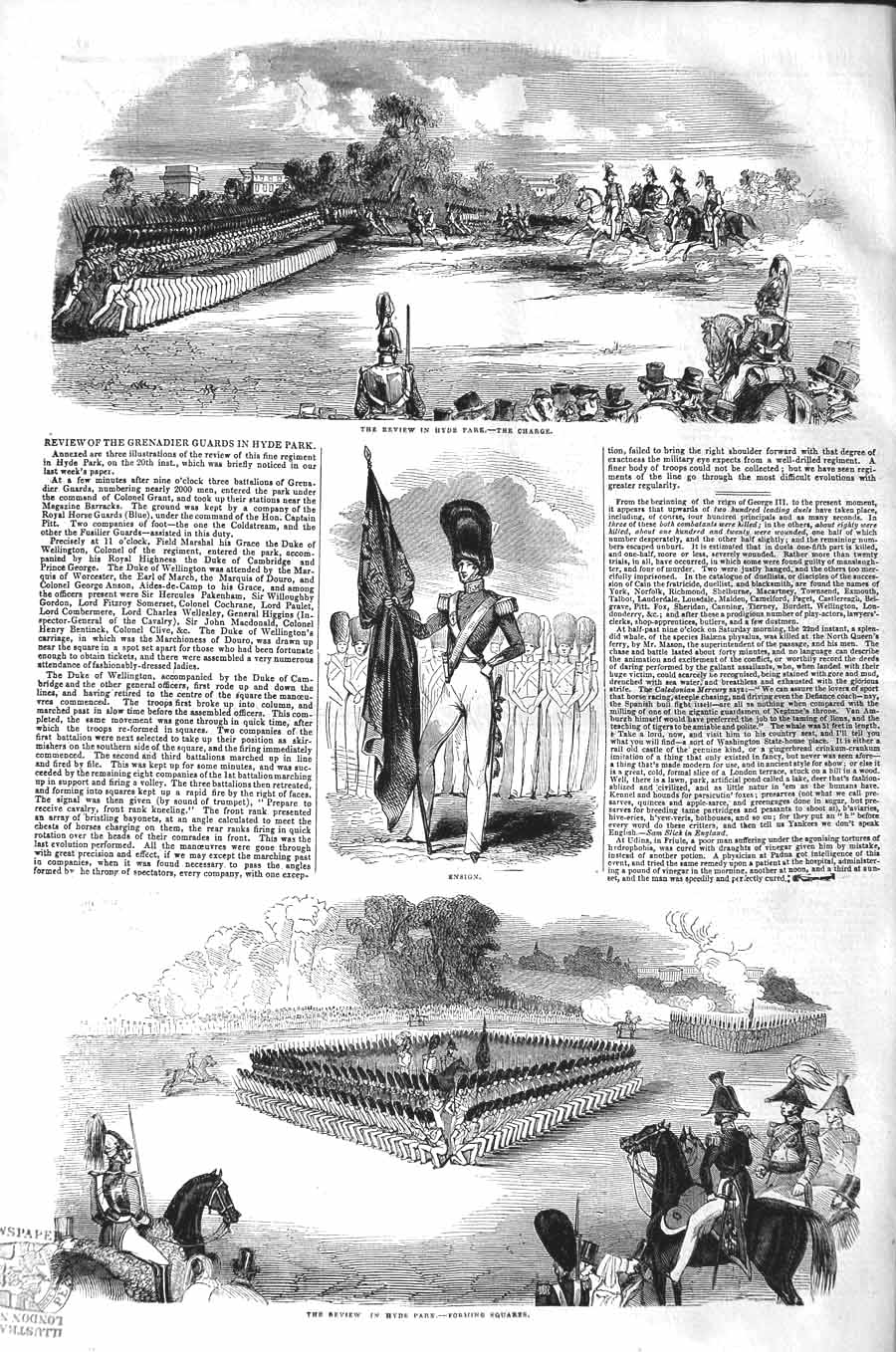 Original Old Antique Print 1843 Review Hyde Park Charge Siers Ensig Victorian