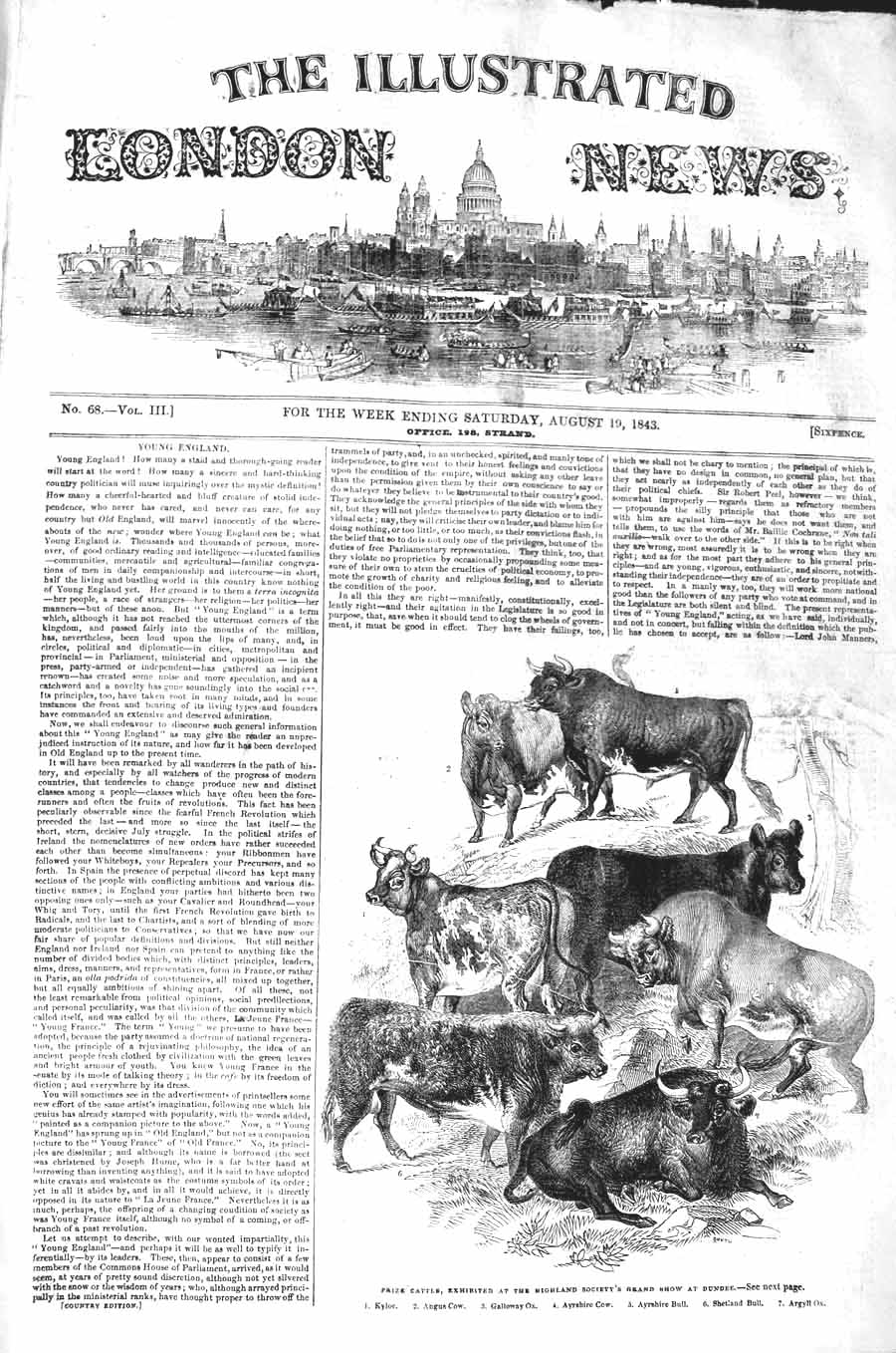 Original Old Antique Print 1843 Prize Cattle Highland Society Grand Show Dundee