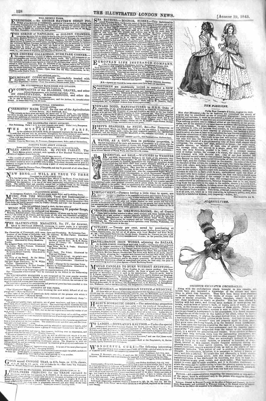 Original Old Antique Print 1843 Floriculture Oncidium Excavatum Orchidaceae