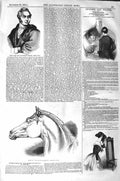 Old Antique Print 1843 Matthew Wood Bart Head Horse Queen Beauty Behnes 19th