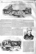 Old Antique Print 1843 Flemish Farm Windsor Park Hosler Highland Cattle 19th