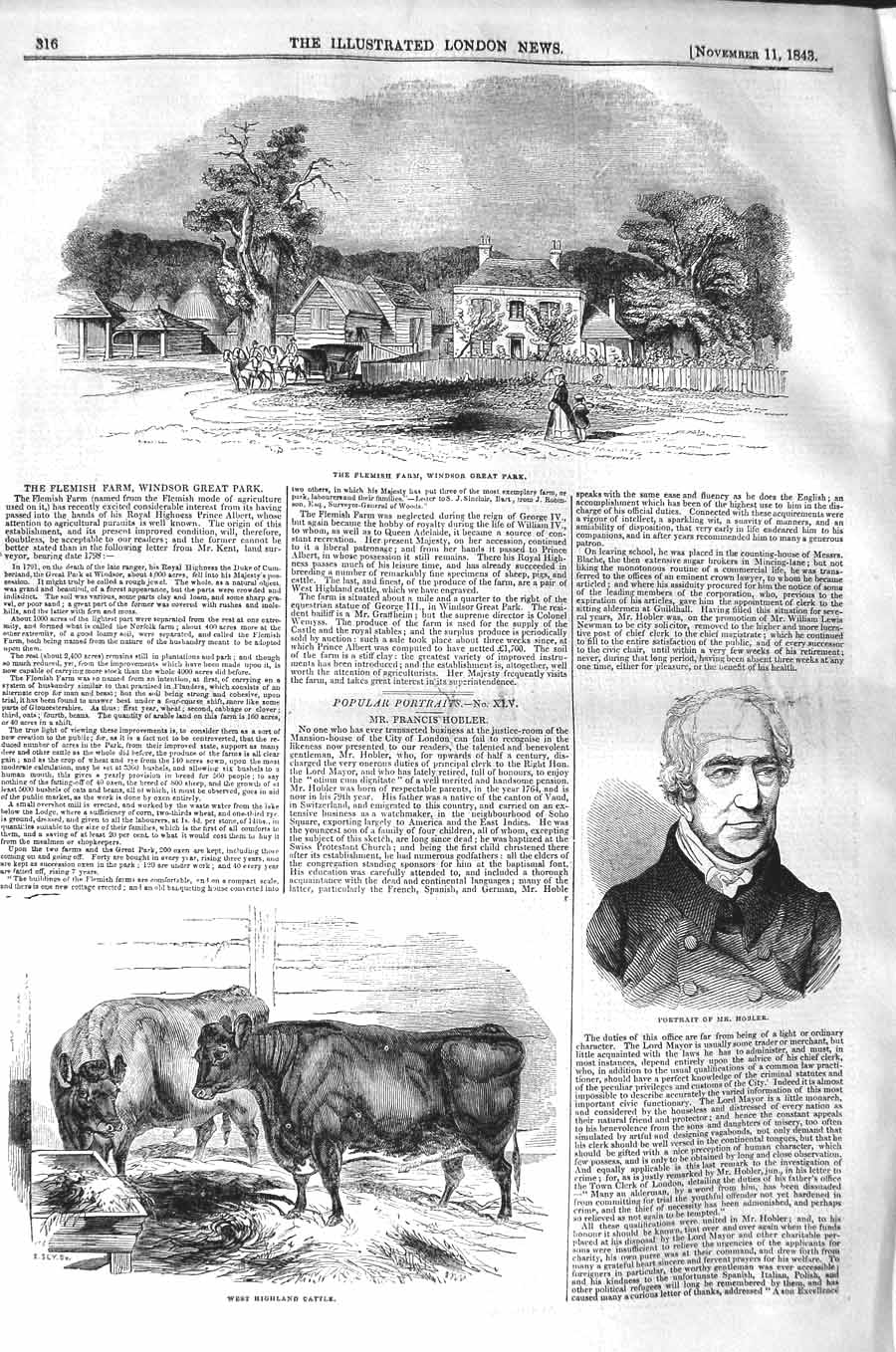 Old Antique Print 1843 Flemish Farm Windsor Park Hosler Highland Cattle 19th