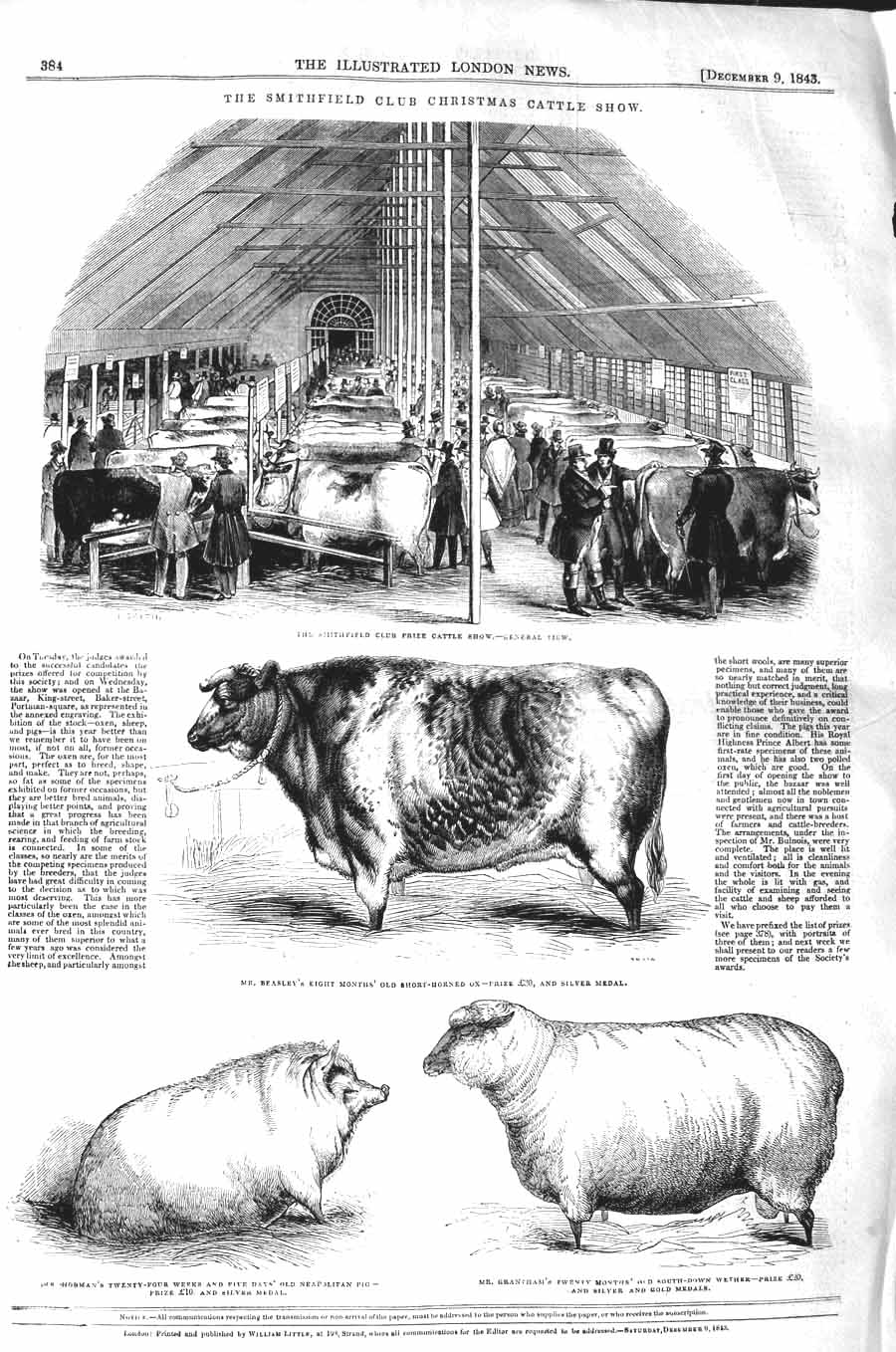 Original Old Antique Print 1843 Smithfield Cattle Show Ox Hobman Grantham Sheep
