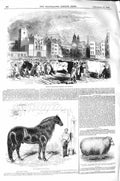 Original Old Antique Print 1843 Smithfield Market Hibbert Horse Heifer Sheep Ox