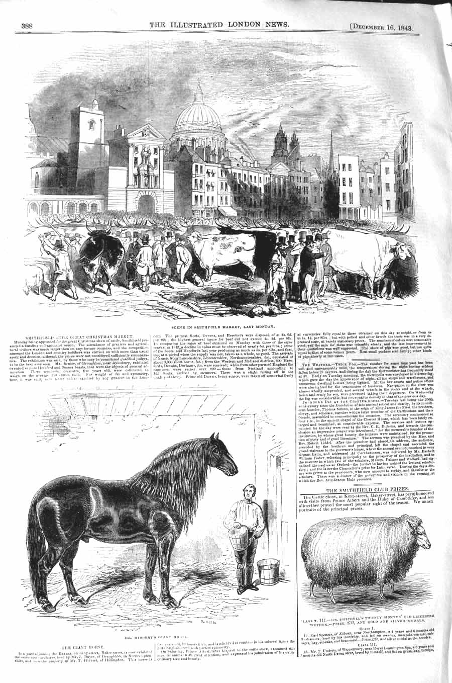 Original Old Antique Print 1843 Smithfield Market Hibbert Horse Heifer Sheep Ox