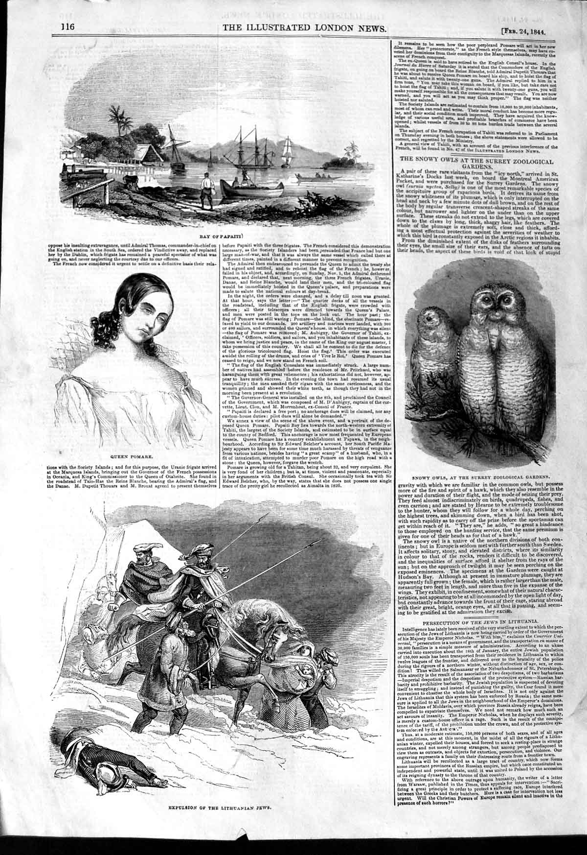 Old Antique Print 1844 Lithuanian Jws Queen Pomare Bay Papaiti Snowy Owls 19th