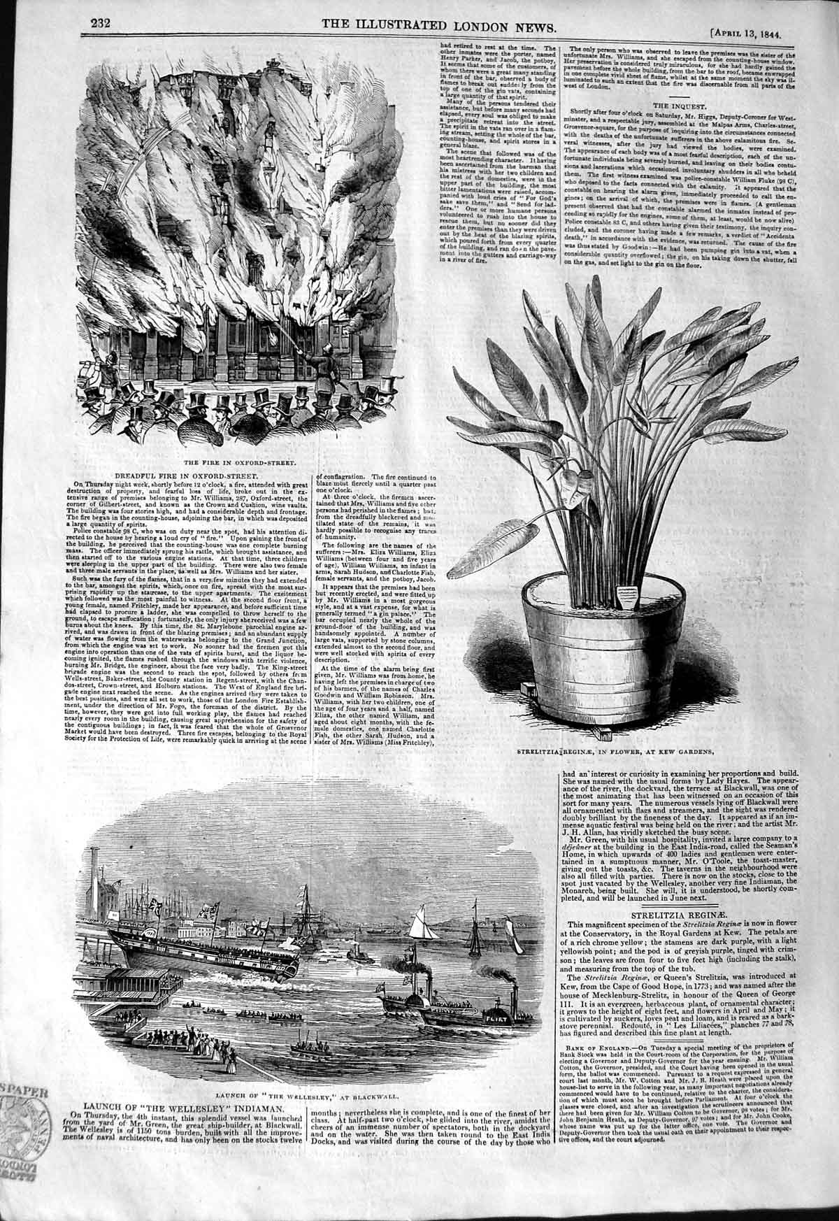 Original Old Antique Print 1844 Wellesley Ship Blackwall Fire Oxford Strelitzia