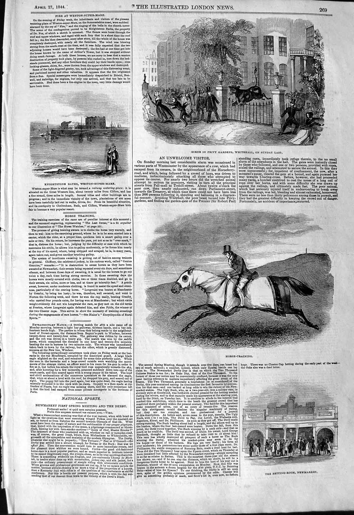 Original Old Antique Print 1844 Race Horse Training Newmarket Whitehall Privy