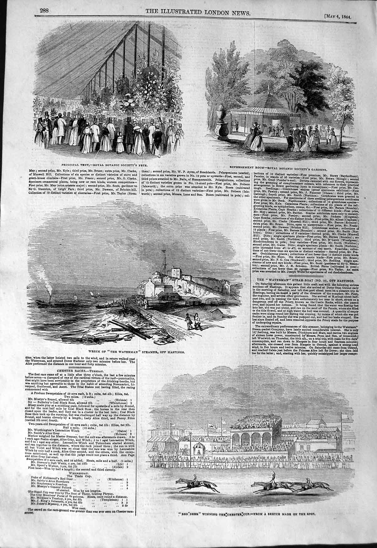 Old Antique Print 1844 Red Deer Chester Cup Horse Racing Botanic Gardens 19th