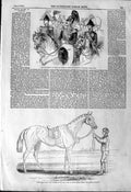 Original Old Antique Print 1844 Alice Hawthorn Horse GVase Ascot Windsor Park