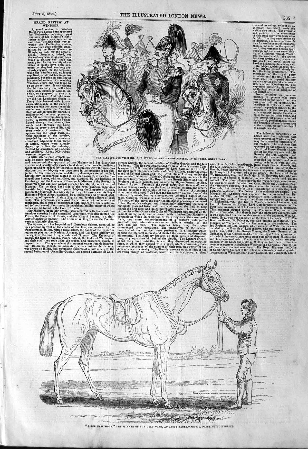 Original Old Antique Print 1844 Alice Hawthorn Horse GVase Ascot Windsor Park