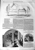 Old Antique Print 1844 Royal Chapel St. James Colonel Peel Horse Orlando 19th