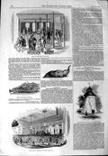 Old Antique Print 1844 Sale Pine Apples Washington Condor Castle Dove-Cot 19th