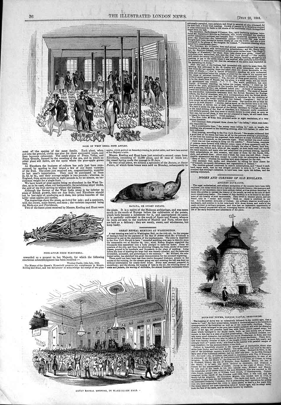 Old Antique Print 1844 Sale Pine Apples Washington Condor Castle Dove-Cot 19th