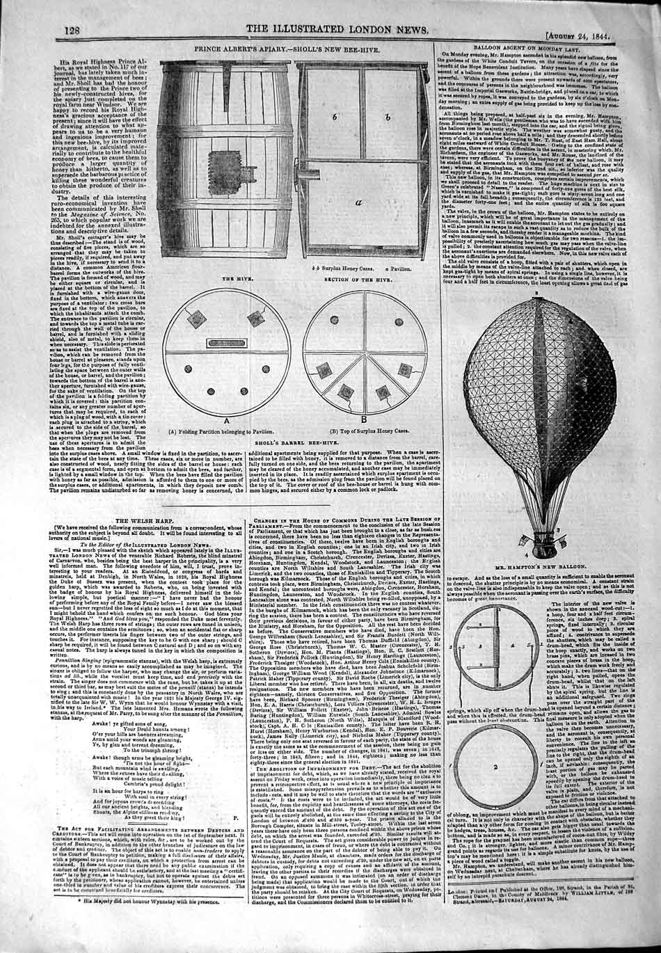 Original Old Antique Print 1844 Hampton'S Balloon Prince Albert Apiary B 19th