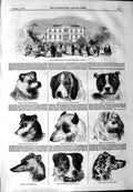 Original Old Antique Print 1844 Bishopsthorpe Archbishop York Dogs Terri 19th