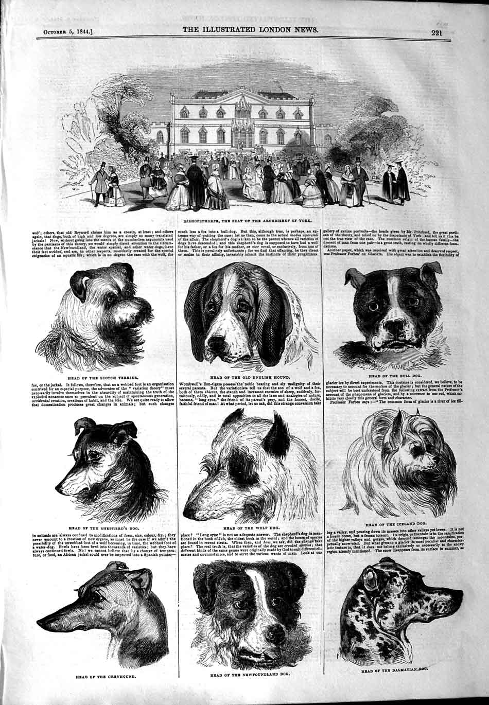 Original Old Antique Print 1844 Bishopsthorpe Archbishop York Dogs Terri 19th