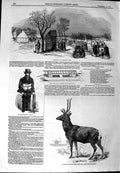 Original Old Antique Print 1844 Smithfield Cattle Red Deer Ice Skating Regents