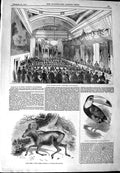 Original Old Antique Print 1844 Banquet Pottinger Manchester Moose Deer Toucan