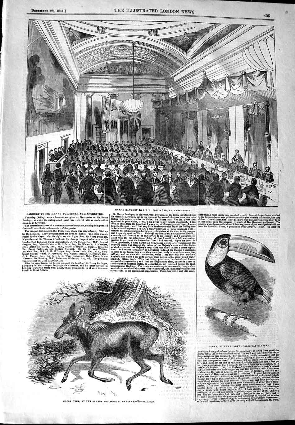 Original Old Antique Print 1844 Banquet Pottinger Manchester Moose Deer Toucan