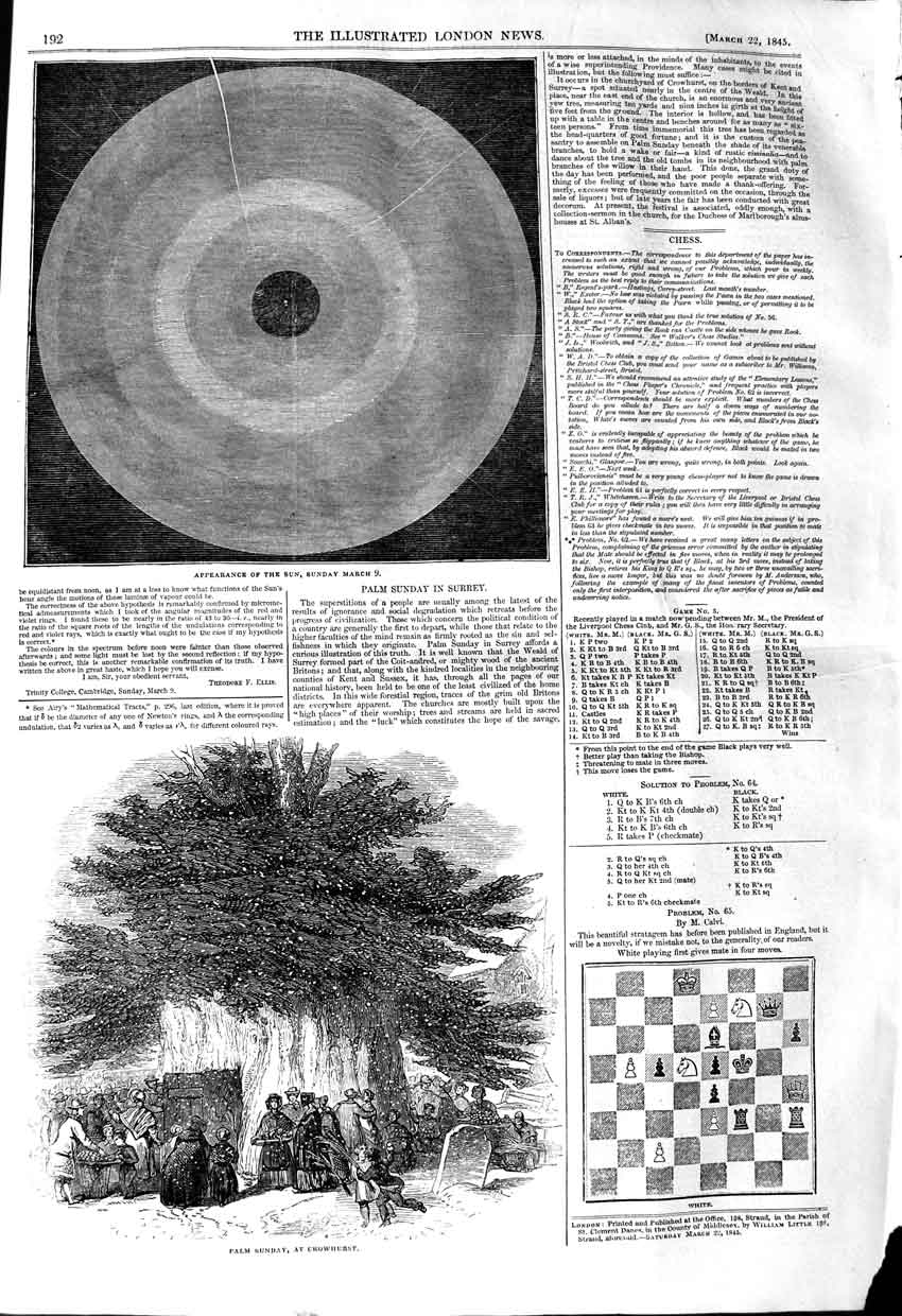 Original Old Antique Print 1845 Astronomy Sun Plam Sunday Crowhurst Tree 19th
