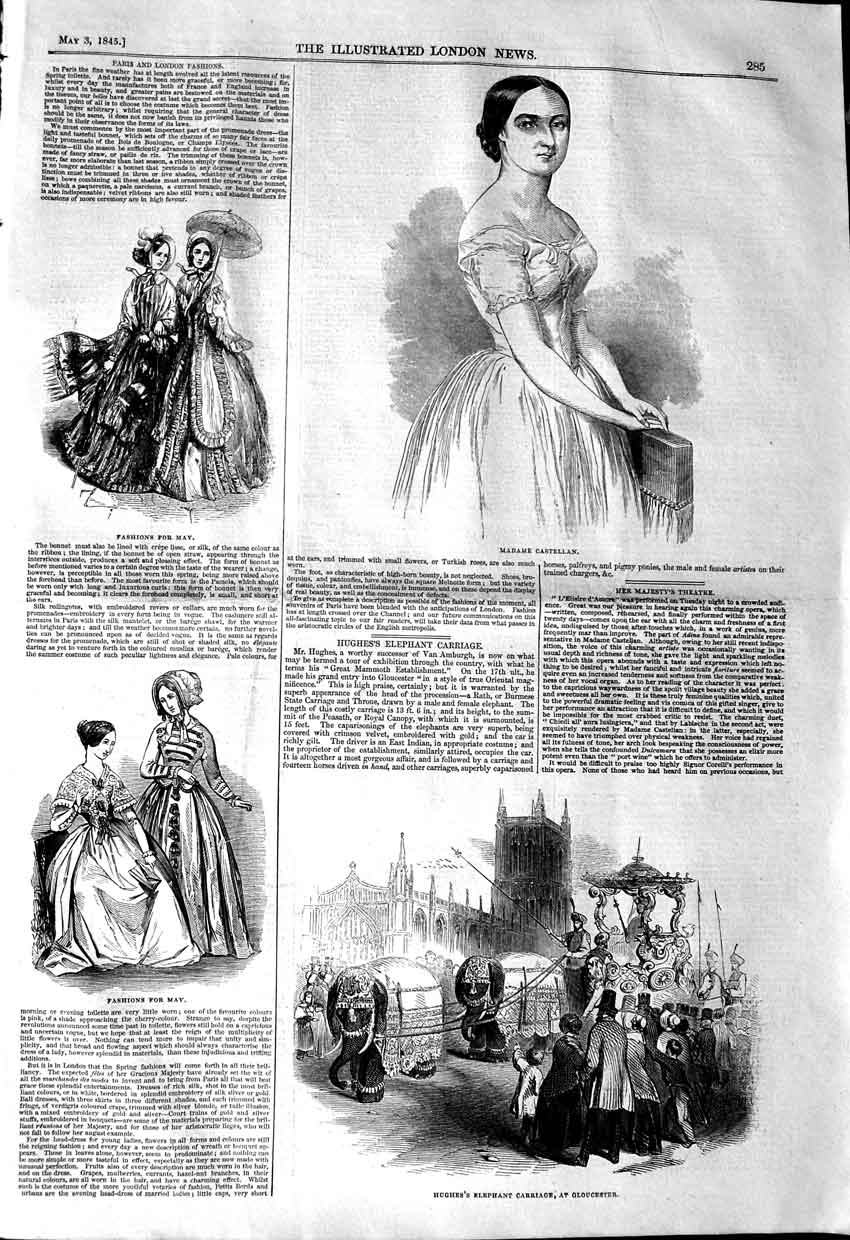 Original Old Antique Print 1845 Madame Castellan Highes Elephants Gloucester