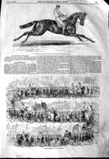 Old Antique Print 1845 Refraction Horse Oaks Shrewsbury Show Procession 19th