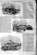 Old Antique Print 1845 Palace Tenneburg Wurtemburg Prince Albert Drawing 19th