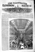 Original Old Antique Print 1845 Hunterian Museum Royal College Surgeon Victorian