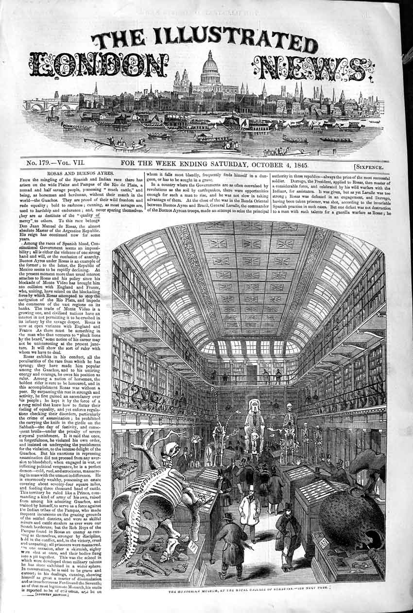 Original Old Antique Print 1845 Hunterian Museum Royal College Surgeon Victorian