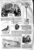 Old Antique Print 1845 Ludlow Castle Woodcock Spade Robert Peel Railway 19th