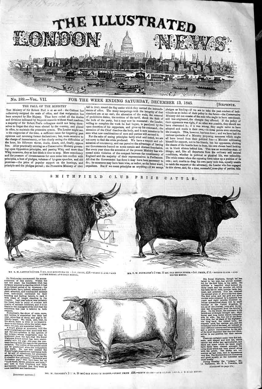 Old Antique Print 1845 Smithfield Club Prize Cattle Ox Heifer Devon Steer 19th