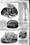 Old Antique Print 1845 Prize Rabbits Lunar Rainbow Egermont Castle Ship 19th