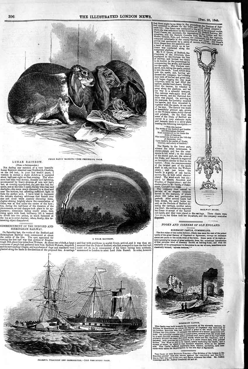 Old Antique Print 1845 Prize Rabbits Lunar Rainbow Egermont Castle Ship 19th