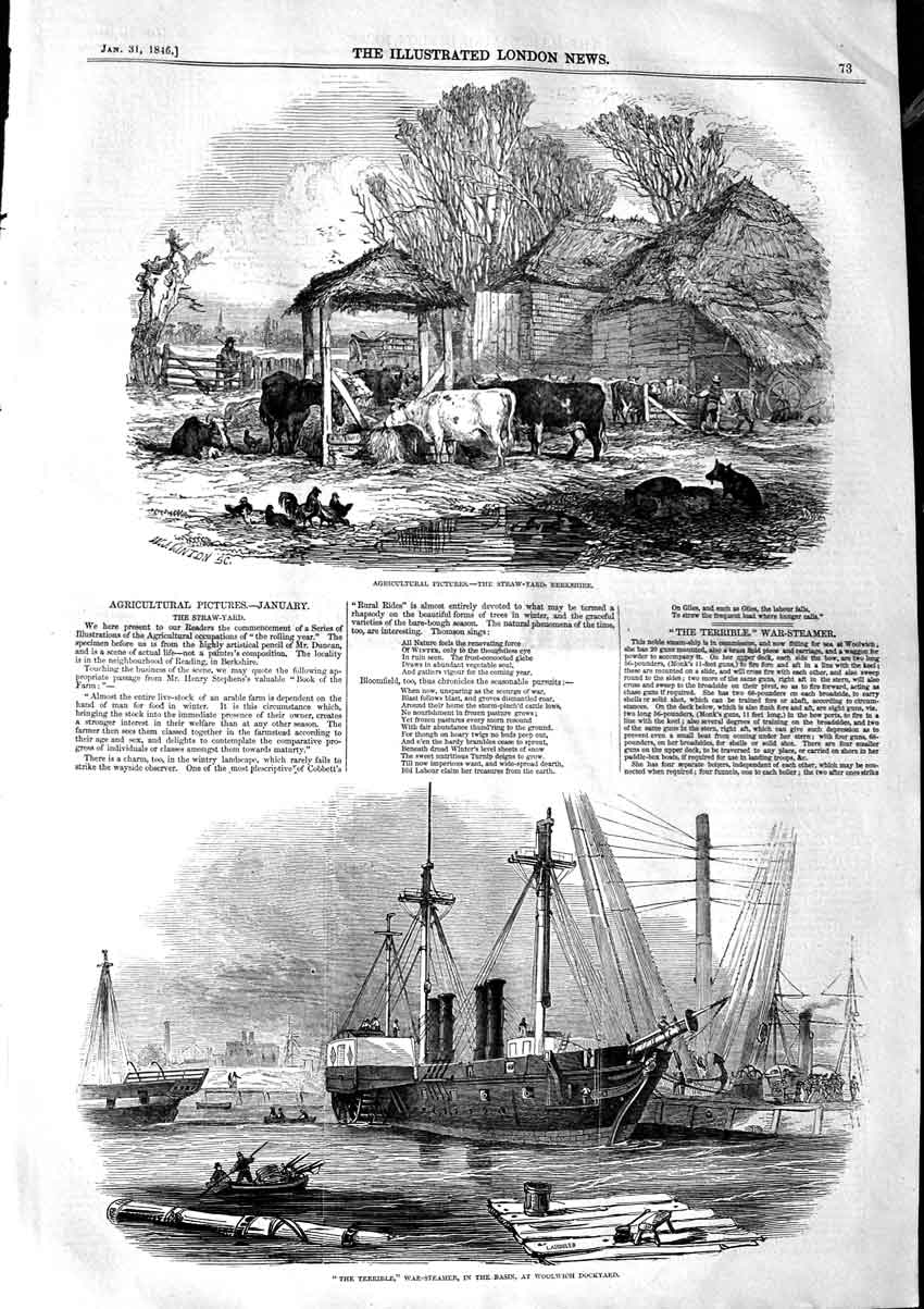 Original Old Antique Print 1846 Agriculture Straw Yard Berkshire Terrible Ship