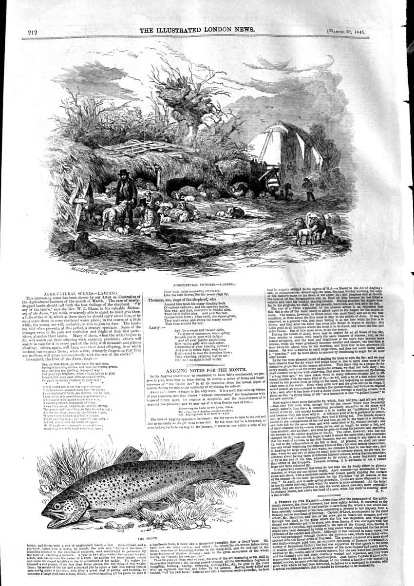 Original Old Antique Print 1846 Agriculture Lambing Farming Tro 19th
