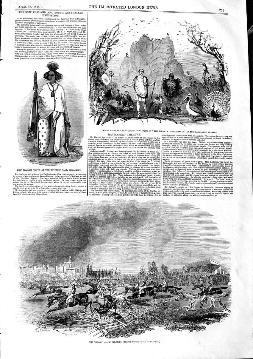 Original Old Antique Print 1846 Windsor Teeple-Chase Horses Theatre New Zealand
